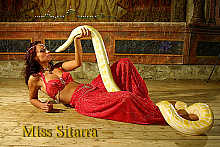 Miss Sitarra